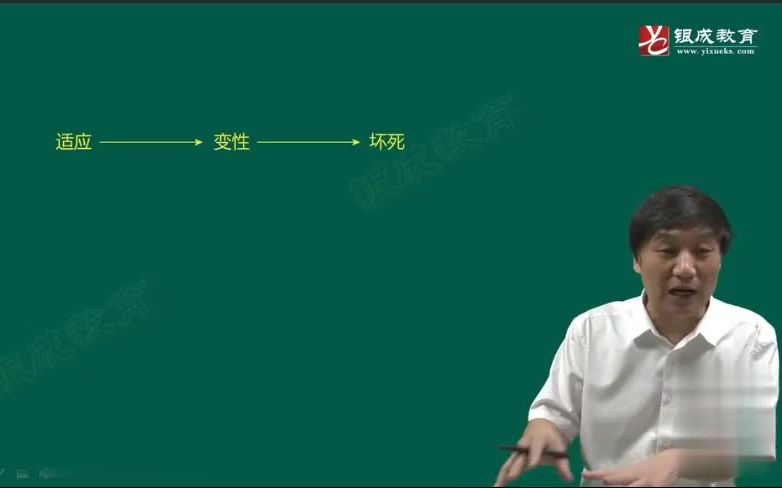 [图]2024考研西综 贺银成病理学+生理学 芸磐