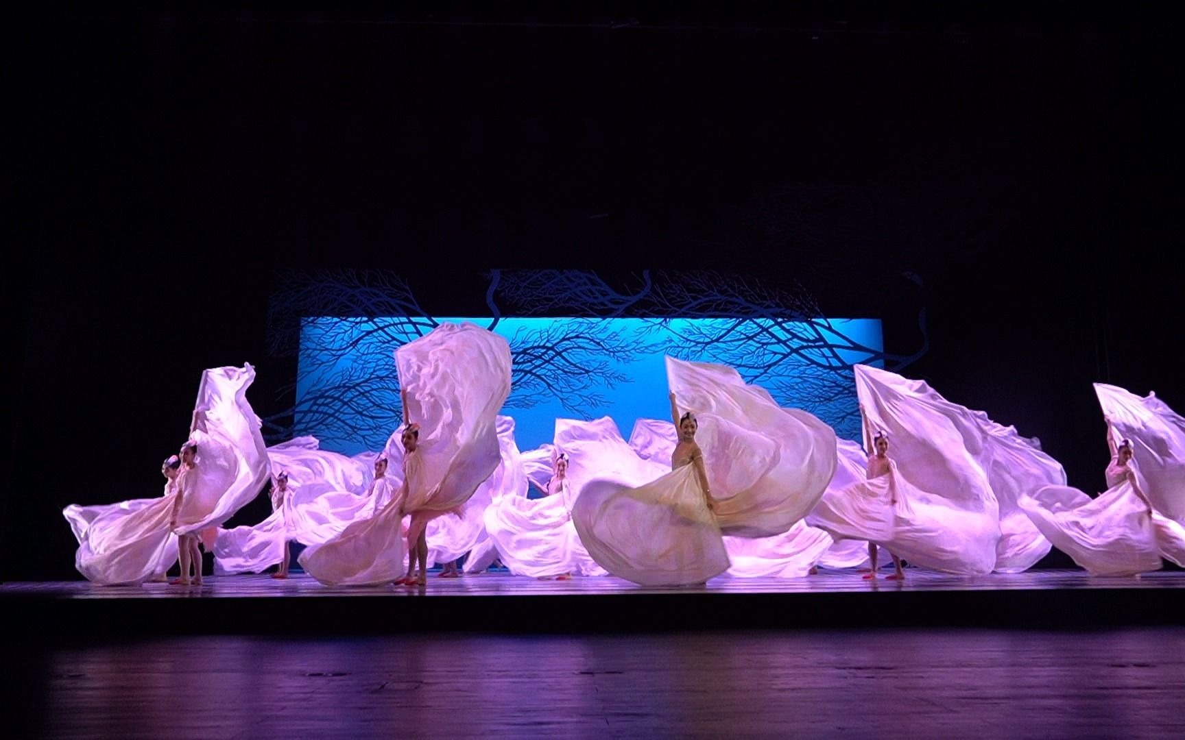 舞剧《朱鹮》返场 20210521 朱洁静/王佳俊