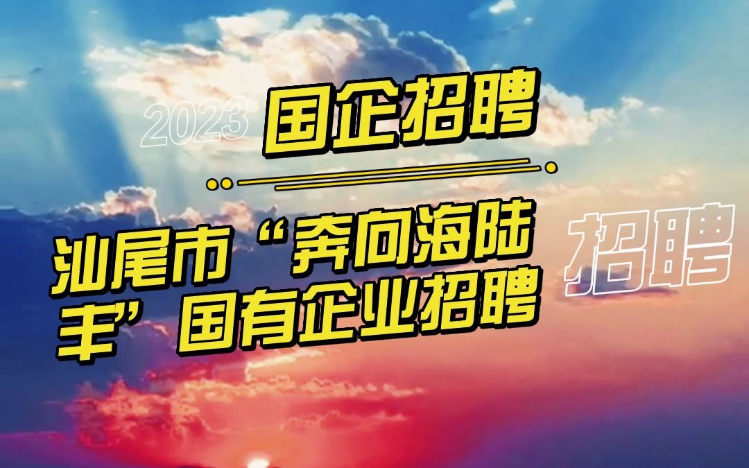 2023年广东省汕尾市“奔向海陆丰”国有企业公开招聘工作人员24人公告(1)哔哩哔哩bilibili