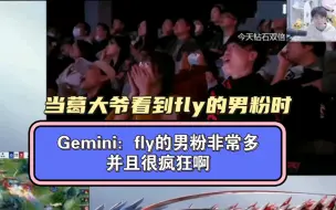 Gemini：fly的男粉非常多，并且很疯狂啊！