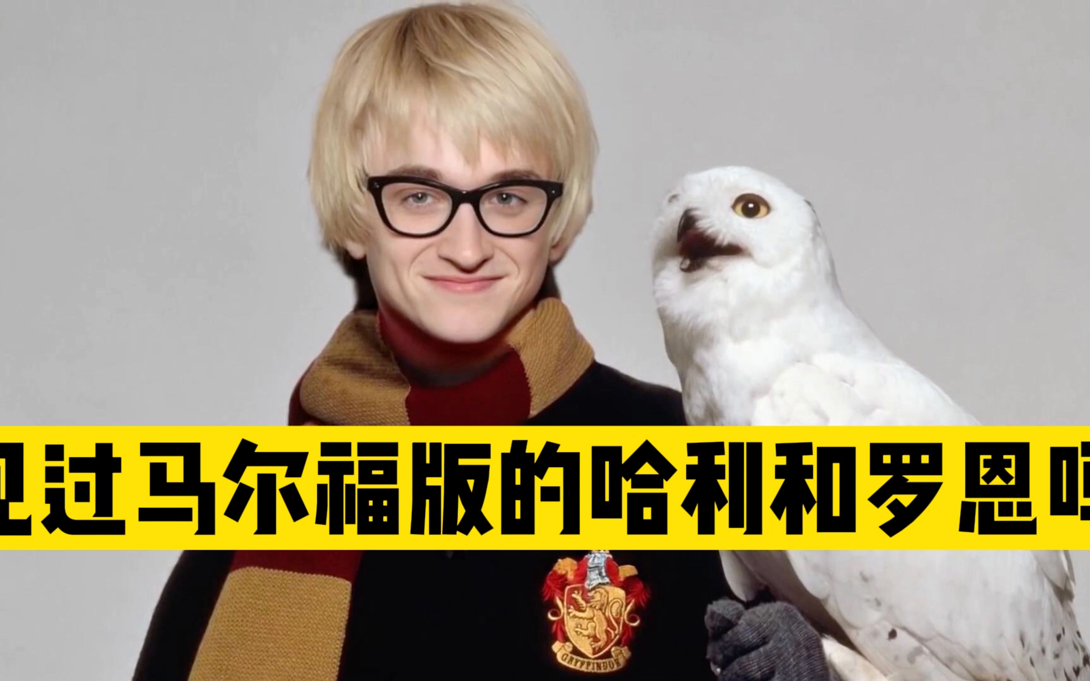 汤姆米有被选上哈利和罗恩,才演了马尔福|【15个试镜哈利波特落选的