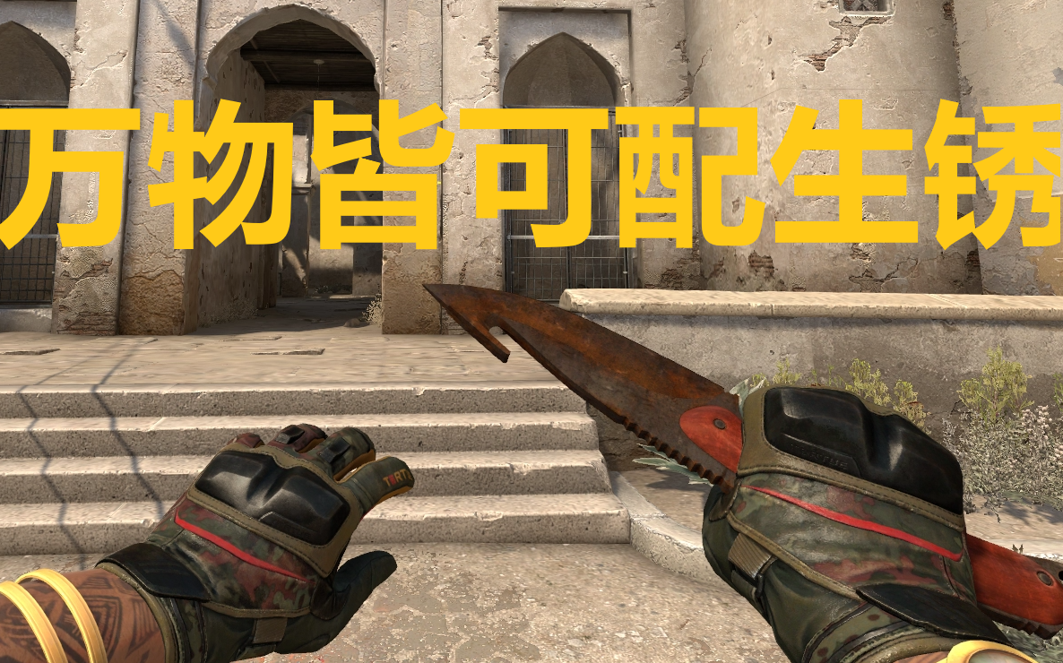 [图]【CSGO】万物皆可配生锈之第三特种兵连