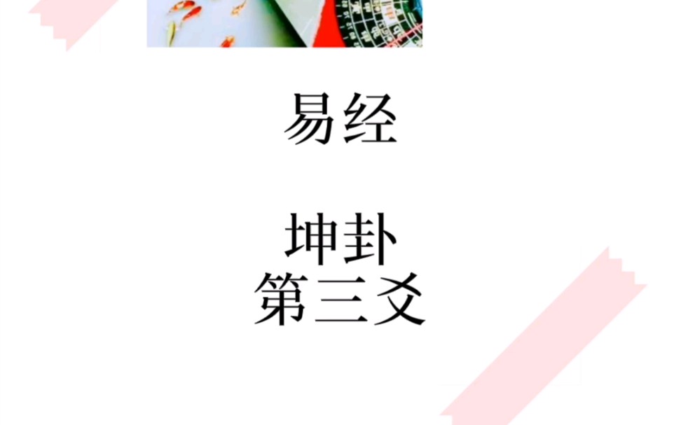 易经~坤卦~第三爻哔哩哔哩bilibili