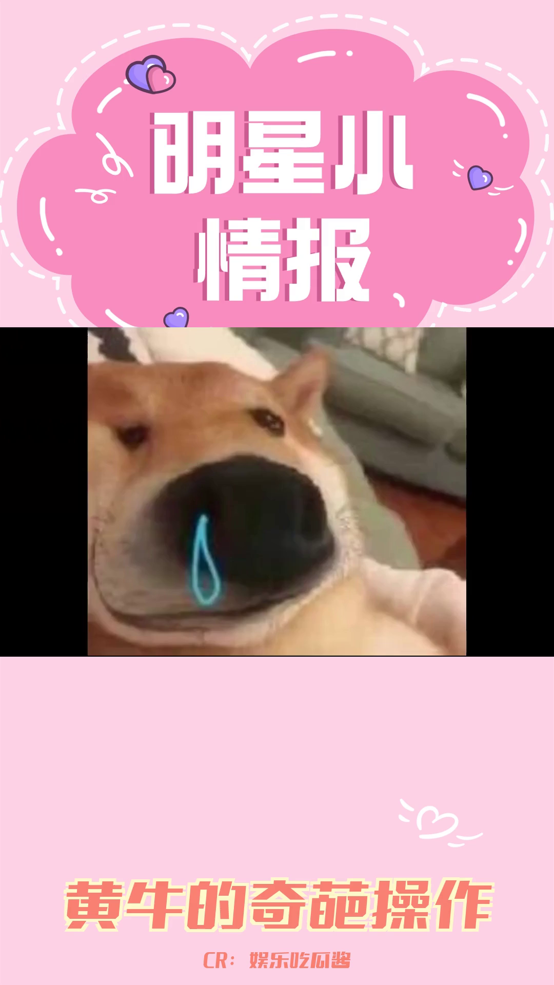 黄牛的离谱操作,你经历过吗?哔哩哔哩bilibili