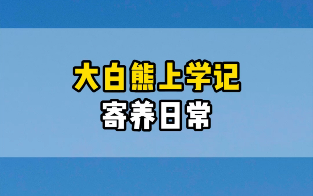 大白熊上学记哔哩哔哩bilibili