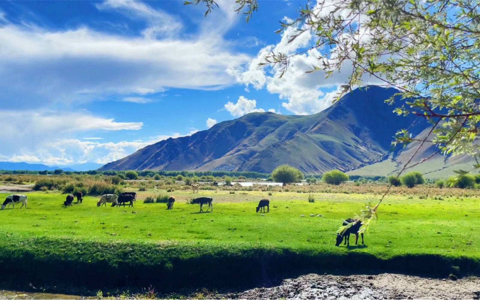 在拉萨达孜区如世外桃源的营地露营简直太美了