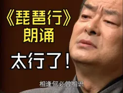 Video herunterladen: 濮存昕震撼朗诵白居易《琵琶行》