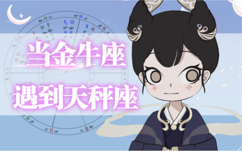 当金牛座遇到天秤座哔哩哔哩bilibili