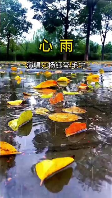 心雨原唱完整版#毛寧/楊鈺瑩#老歌