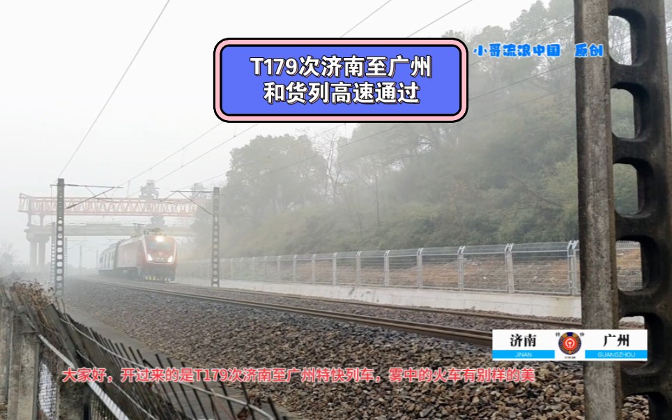 t179次济南至广州特快列车和货列高速通过雾中的京广线长沙北站段