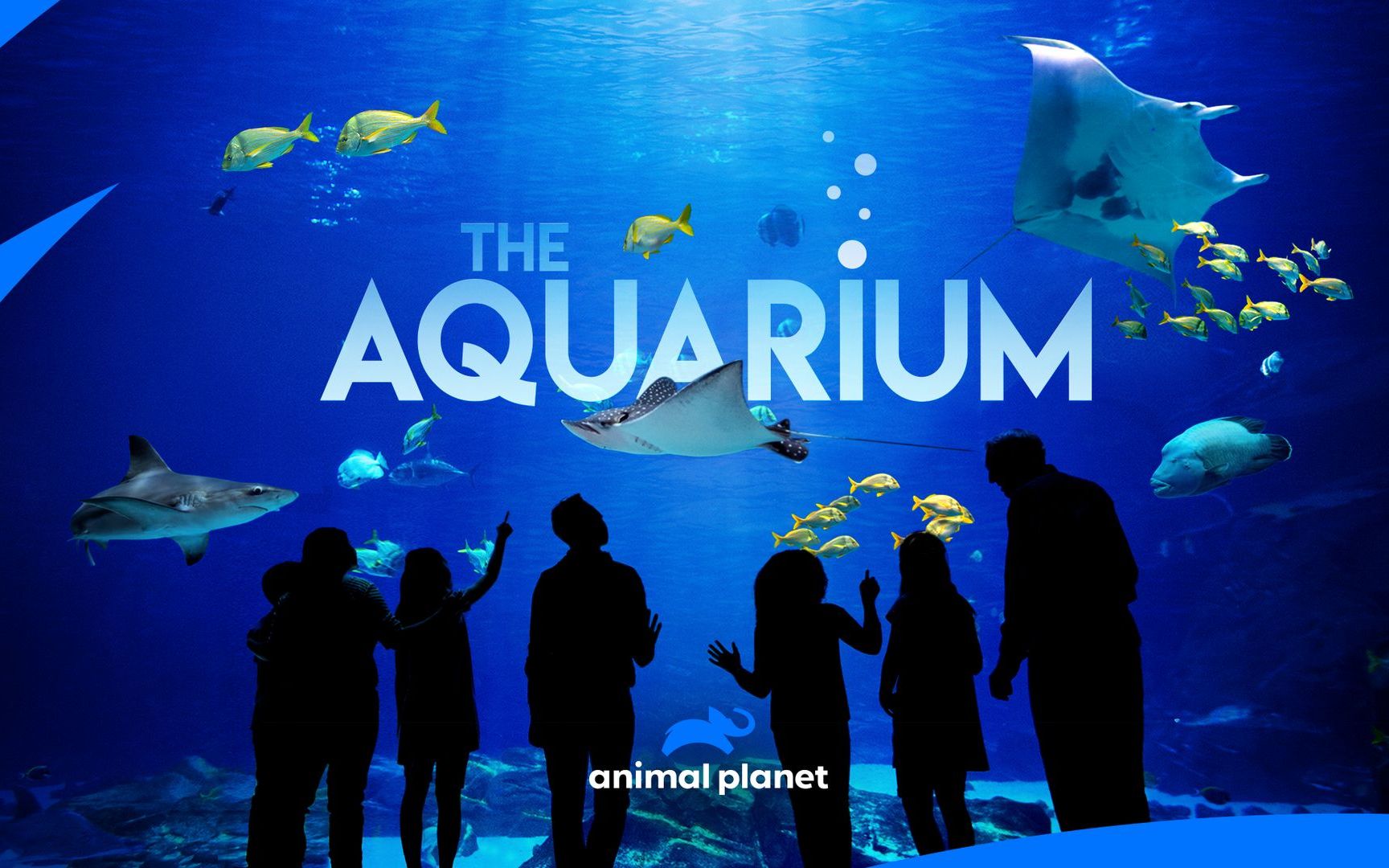 [图]水族馆第一季全九集 The Aquarium