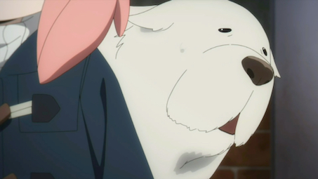 第二季,大狗狗来喽