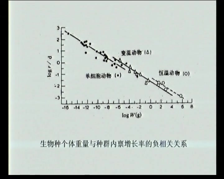 [图]【基础生态学】北京师范大学丨含课件