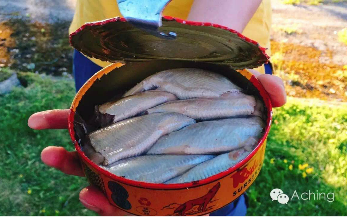 鲱鱼罐头试吃结果蜜汁失望