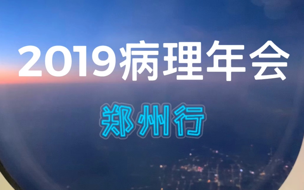 2019病理年会ⷩƒ‘州行VLOG哔哩哔哩bilibili