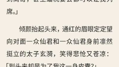 (倾世红颜)完结哔哩哔哩bilibili