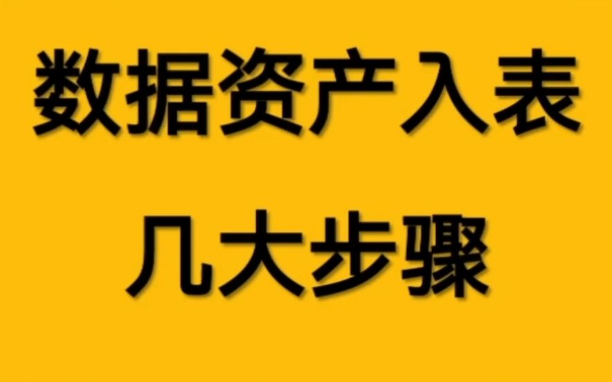 数据资产入表的几大步骤哔哩哔哩bilibili