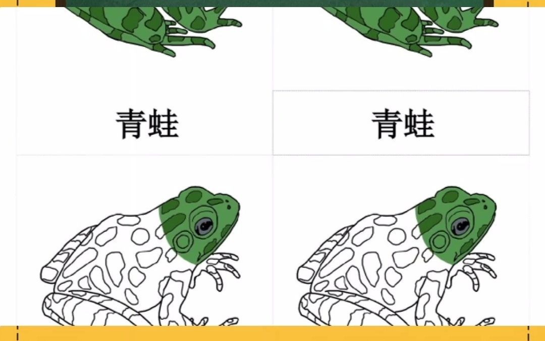 青蛙的身体结构图片
