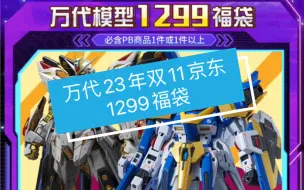 Download Video: 万代23年双十一京东1299福袋