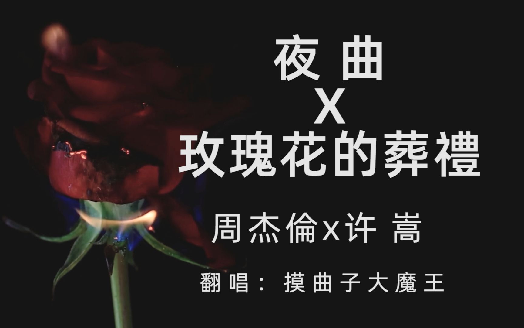 [图]玫 瑰 花 的 夜 曲 ？？？