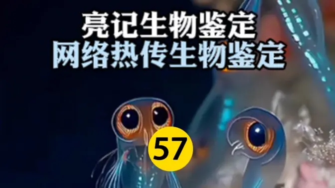网络热传生物鉴定 第57期