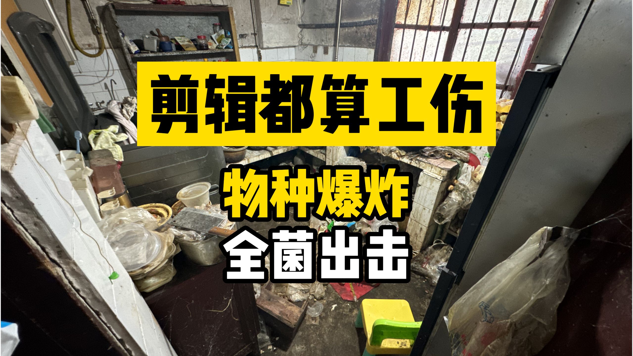 都说我们干完这单，直接可以去应聘法医