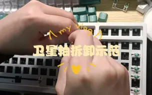 Download Video: 简单的卫星轴拆卸示范