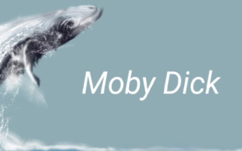 聊聊经典佳作Moby Dick(白鲸)哔哩哔哩bilibili