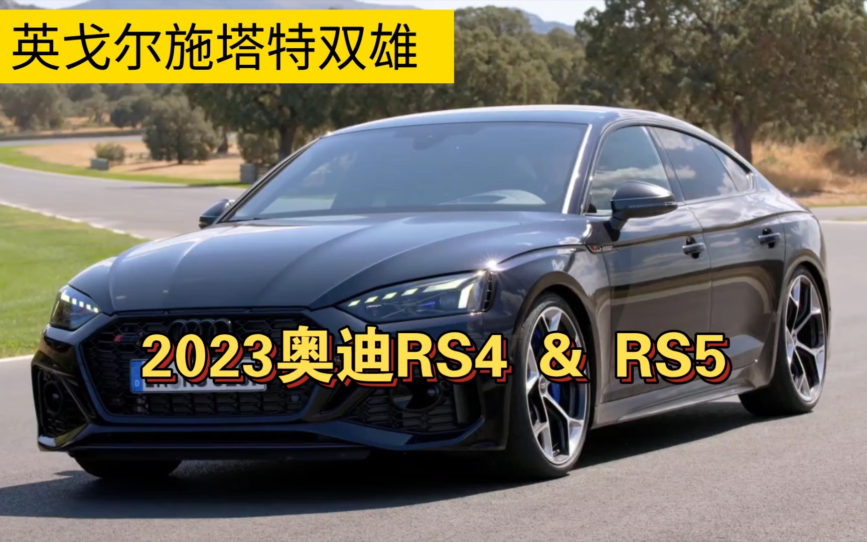 【英戈尔施塔特双雄】熊猫个人最喜欢的奥迪RS——2023 RS4 & RS5【熊猫说车】哔哩哔哩bilibili