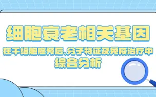 Download Video: 细胞衰老相关基因在干细胞癌预后、分子特征及免疫治疗中的综合分析/SCI论文/科研/研究生/生信分析热点思路