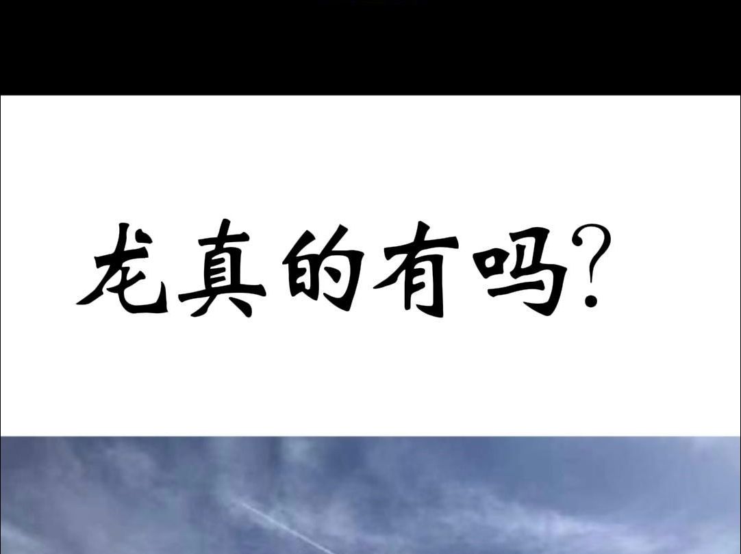 龙真的有吗?哔哩哔哩bilibili