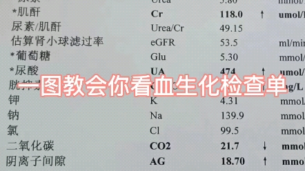 一图教会你看血生化检查单!哔哩哔哩bilibili