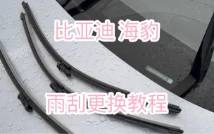 Скачать видео: 【海豹】雨刮更换教程 手把手 新手看一遍也能自己轻松更换