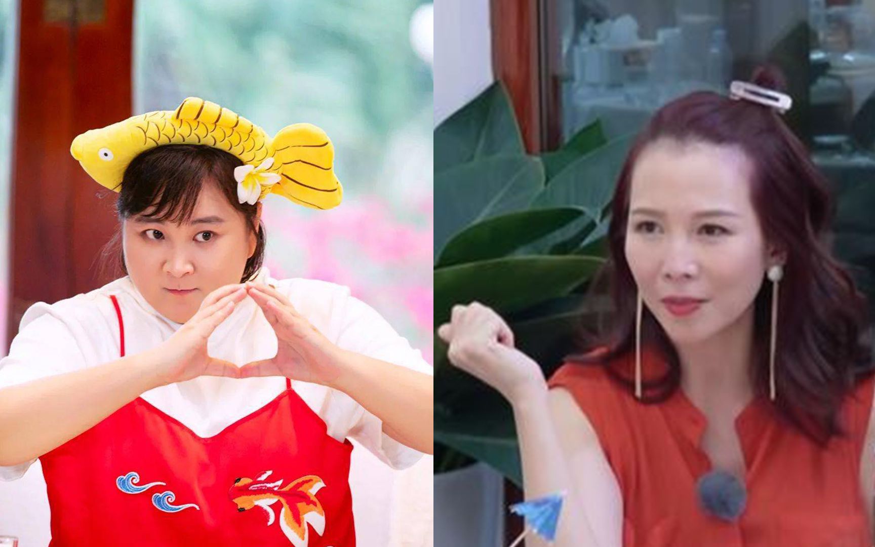 明星有多爱刘德华?朗朗为贾玲追星完成颠球,成蔡少芬安眠良药