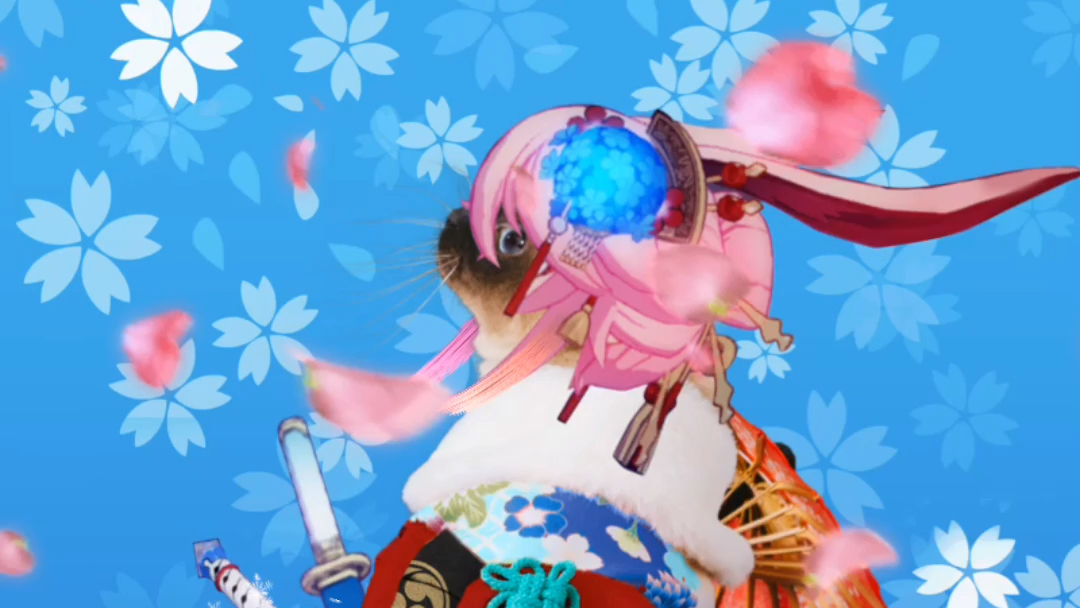 【崩坏3】八重喵 信花舞伎