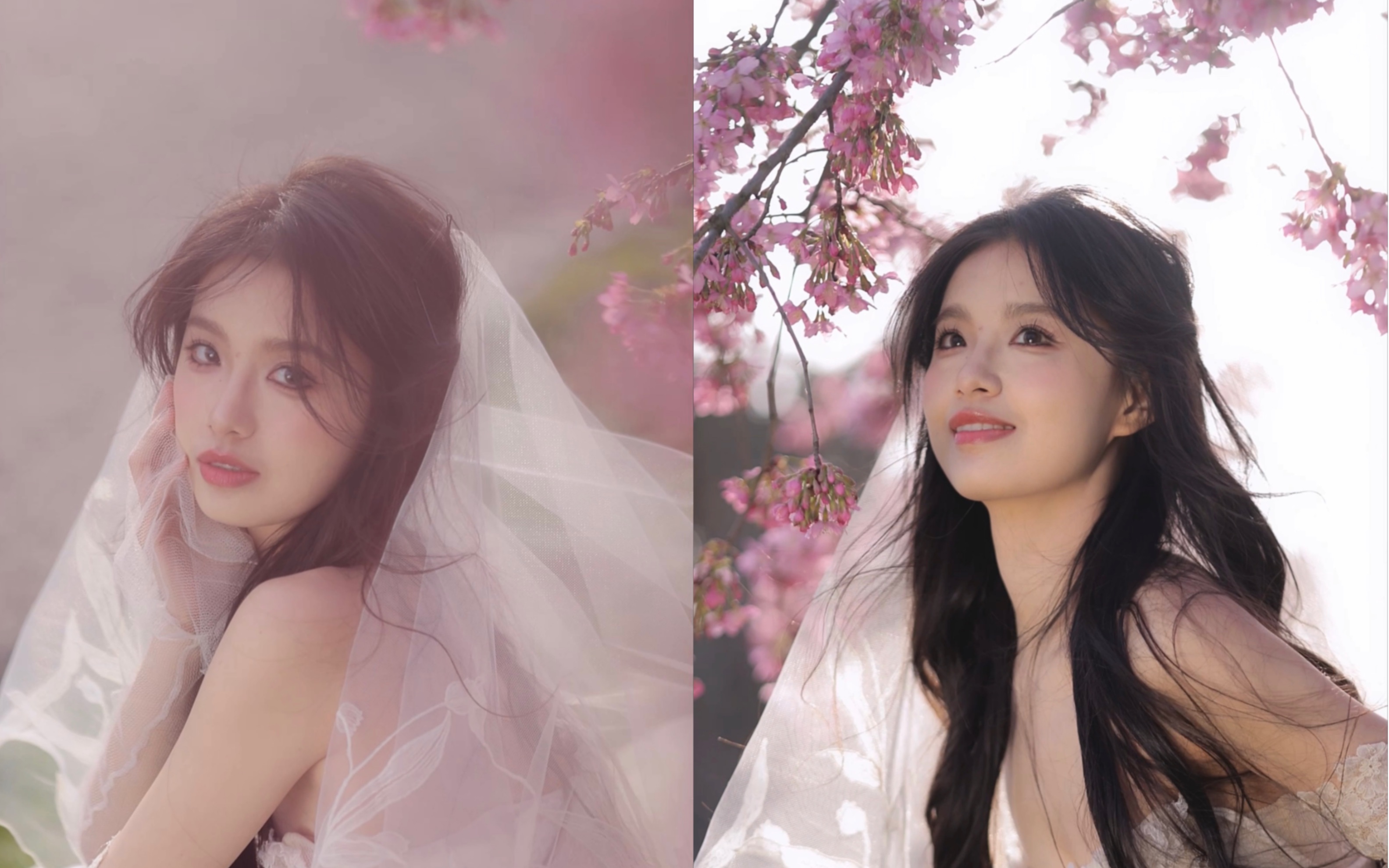【北川婠婠】樱花和春天更配噢