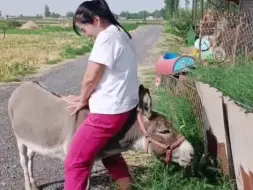 下载视频: 没事儿发个无聊