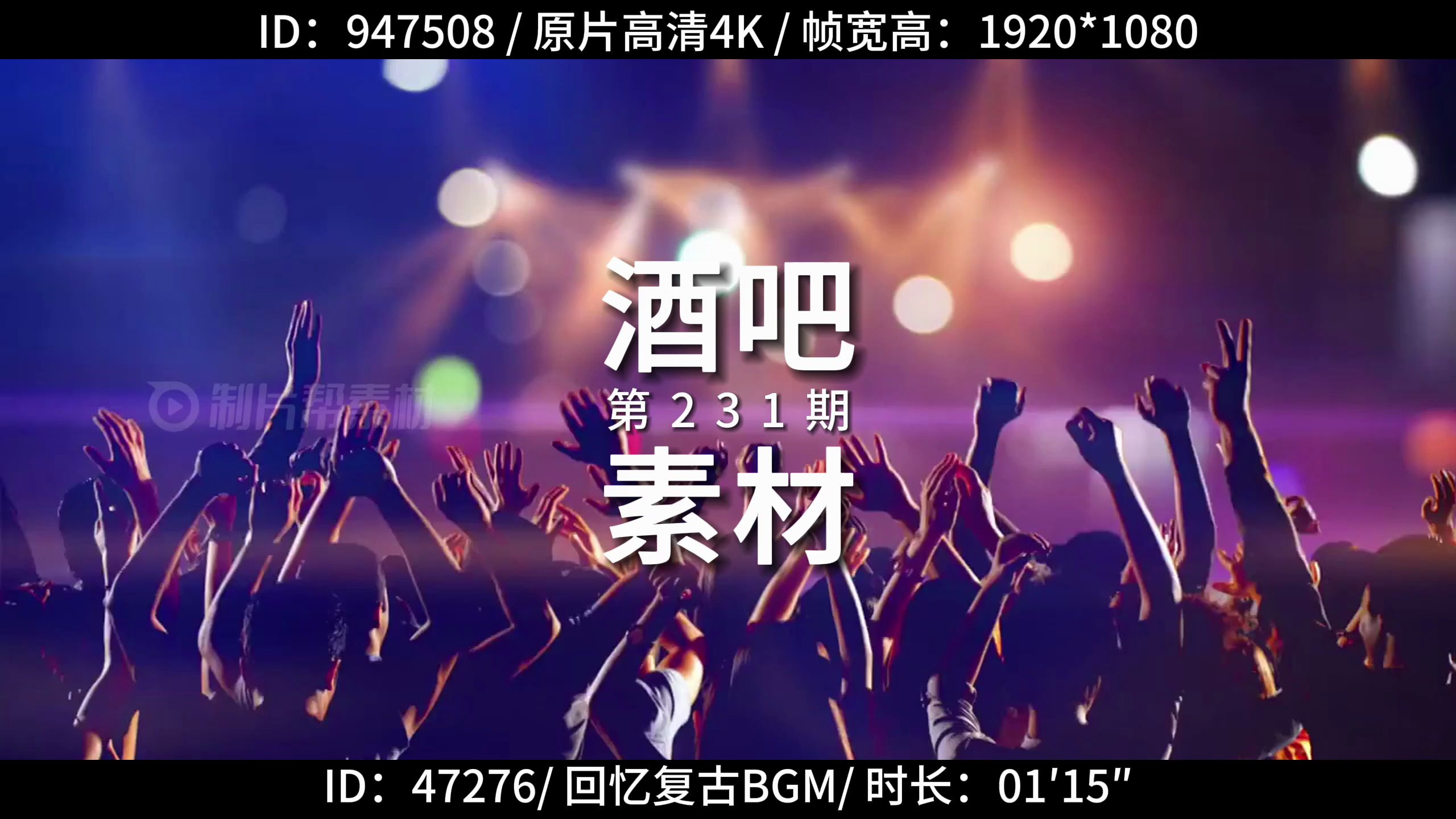 【素材分享】高清酒吧素材 周末狂欢 人物生活 供稿人:meloyanmediai