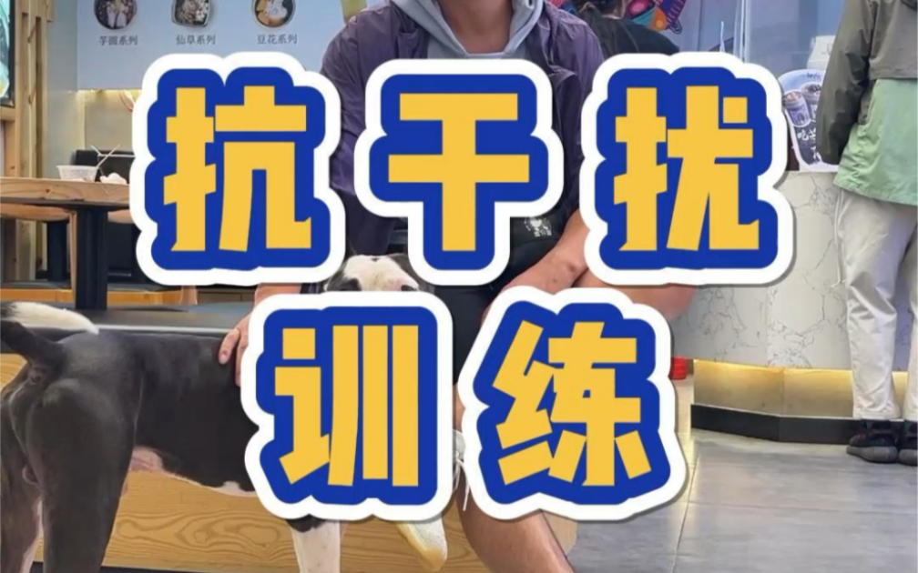 户外抗干扰训练