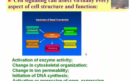 细胞信号转导(一)王喜忠细胞生物学哔哩哔哩bilibili