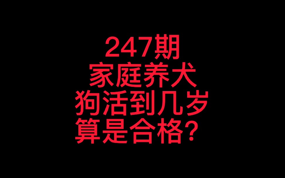 247家庭养犬 狗活到几岁算是合格?哔哩哔哩bilibili