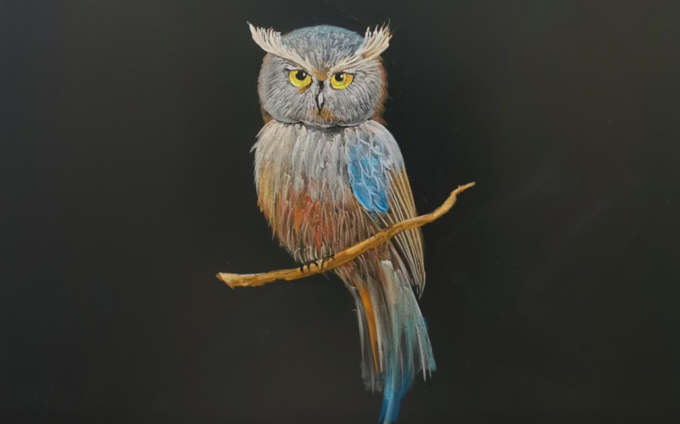 粉笔画,猫头鹰