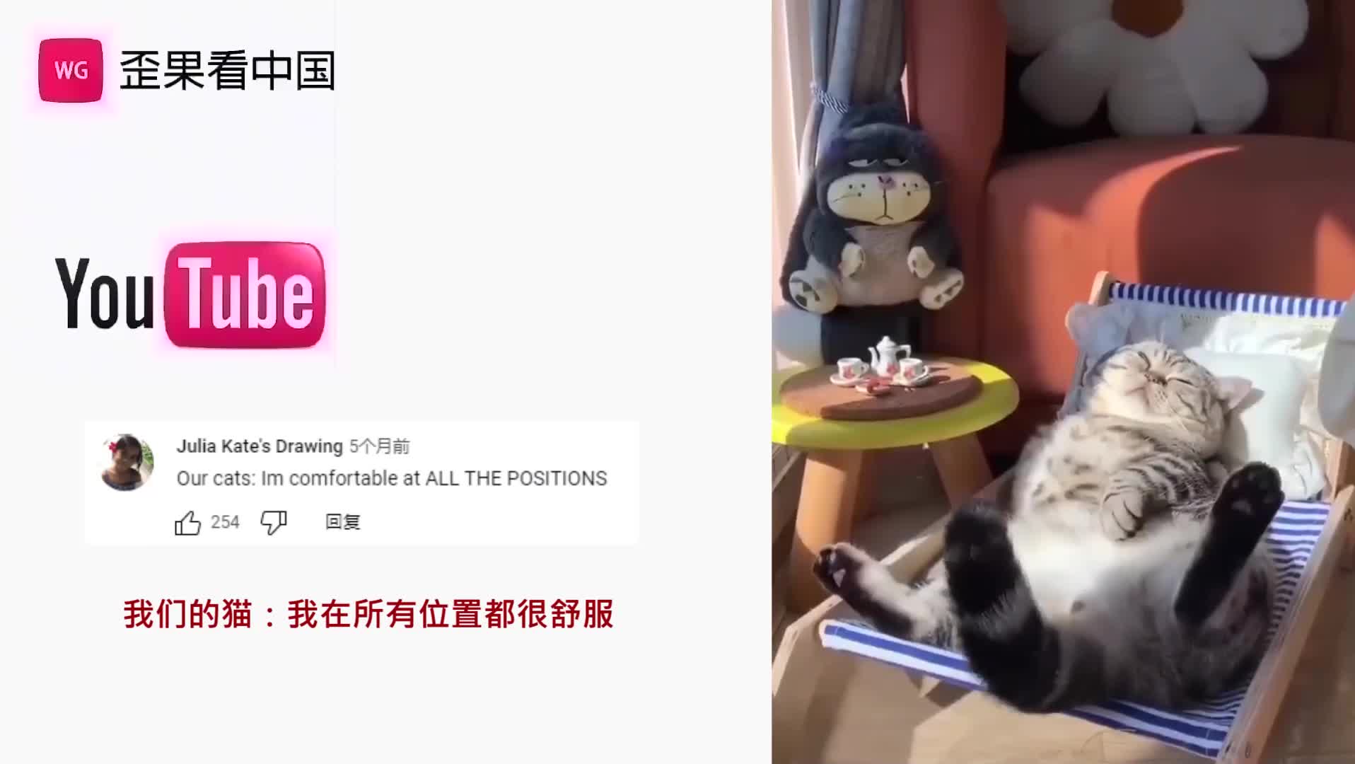 老外看中国抖音里猫咪的奇葩可爱睡姿 外国网友:猫界瑜伽大师哔哩哔哩bilibili