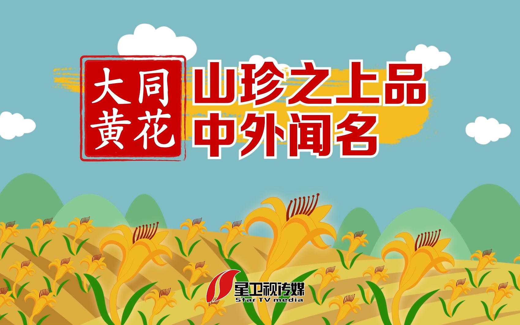 忘忧草 浑身宝——大同黄花