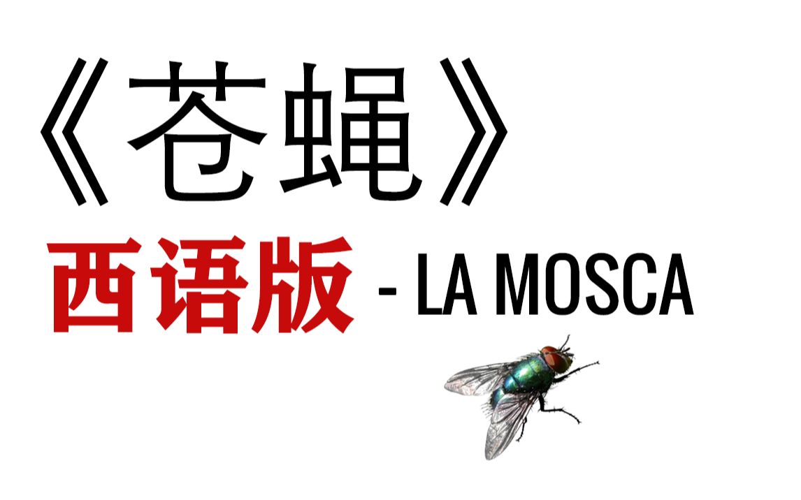 【独家】说西班牙语的苍蝇你见过吗? 《苍蝇》西语版哔哩哔哩bilibili