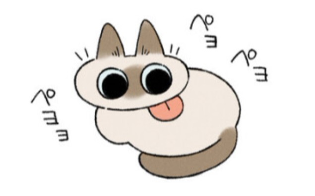 一只奇奇怪怪的暹罗猫