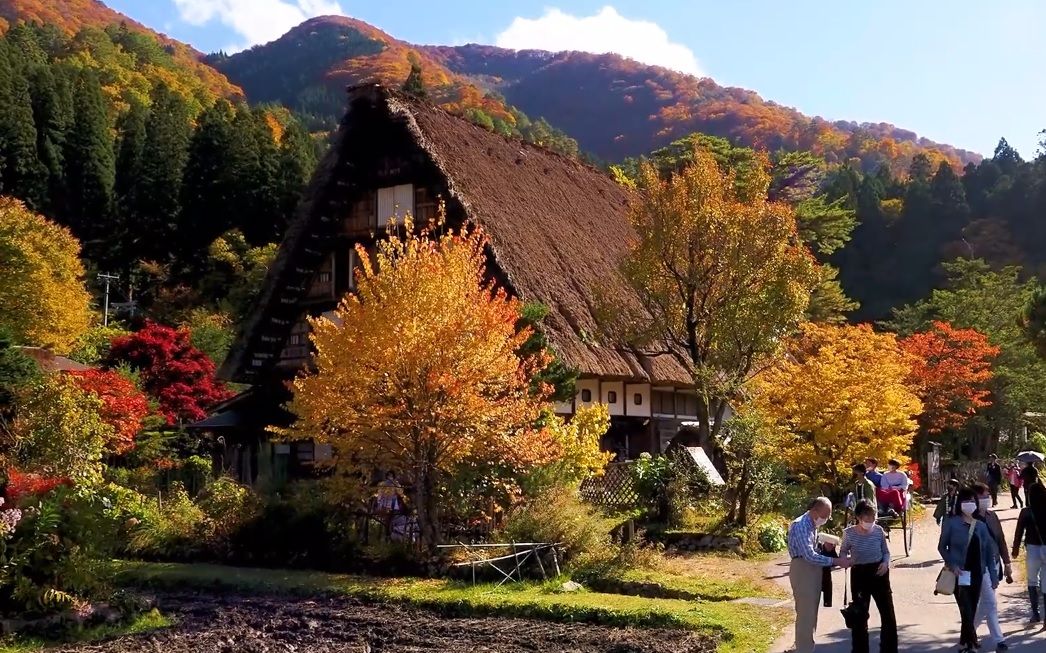 【超清日本】漫步秋天的岐阜县 白川郷合掌村 (1080P高清版) 2022.11哔哩哔哩bilibili