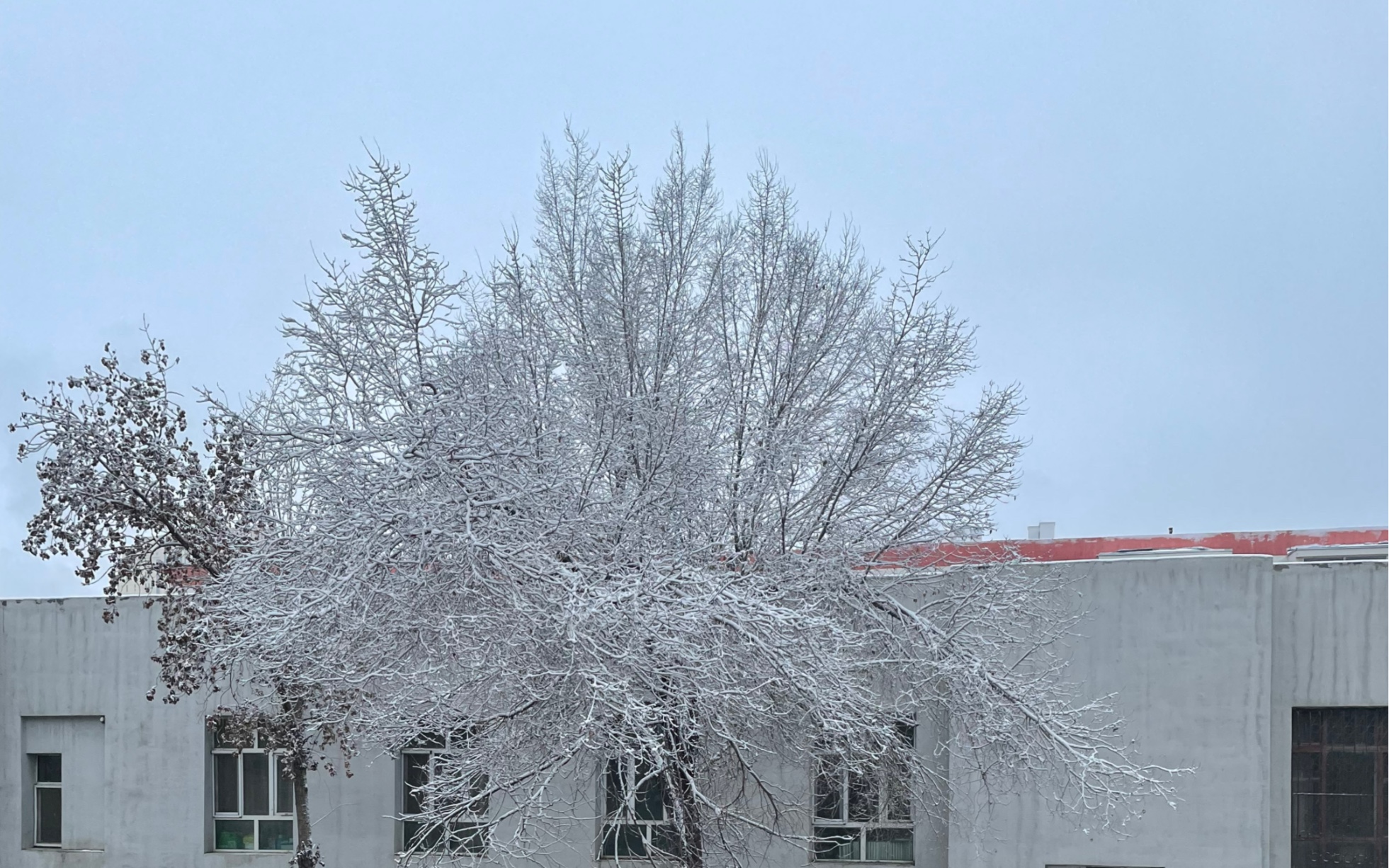 乌鲁木齐第4场大雪——鹅毛大雪哔哩哔哩bilibili