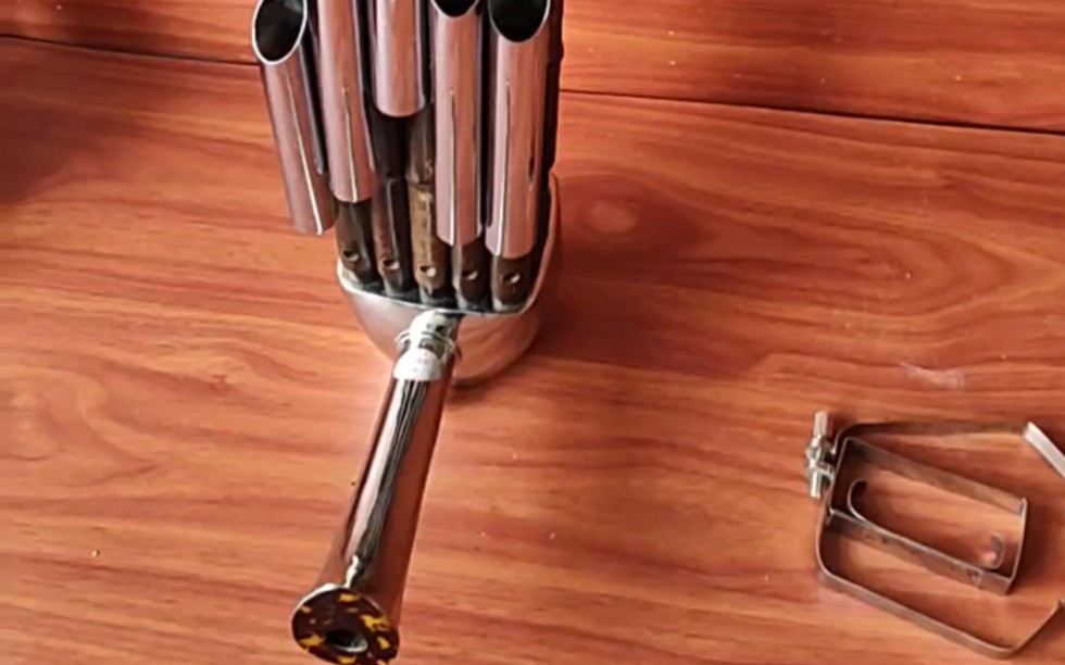 民族乐器 #笙 #非遗文化