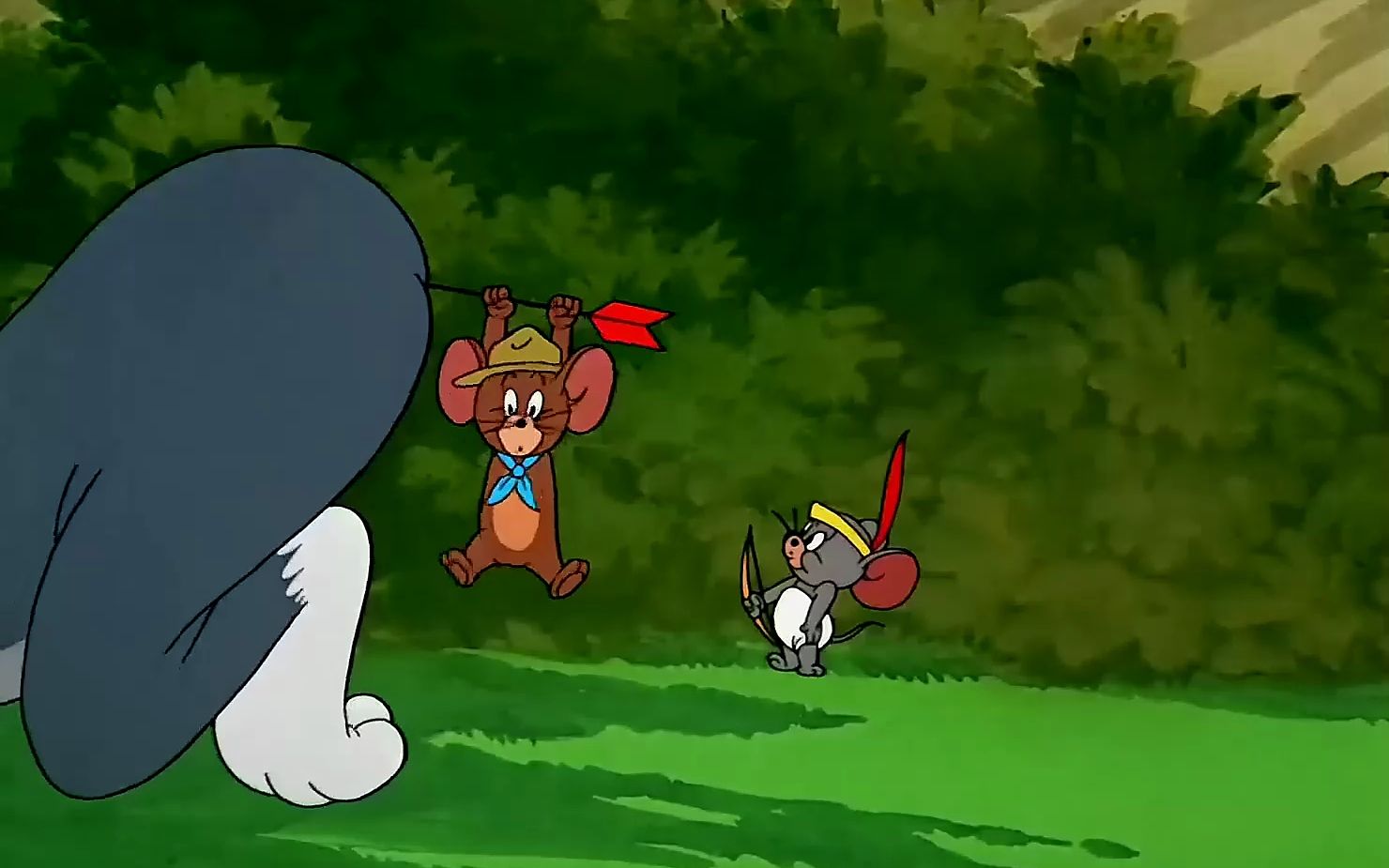 "每日一遍,防止抑郁""众所周知,杰瑞是整个家族最弱的"#猫和老鼠